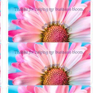 SOME LABEL DESIGN EXAMPLES💞